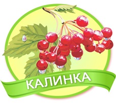 ГРУПА № 9 «КАЛИНКА»